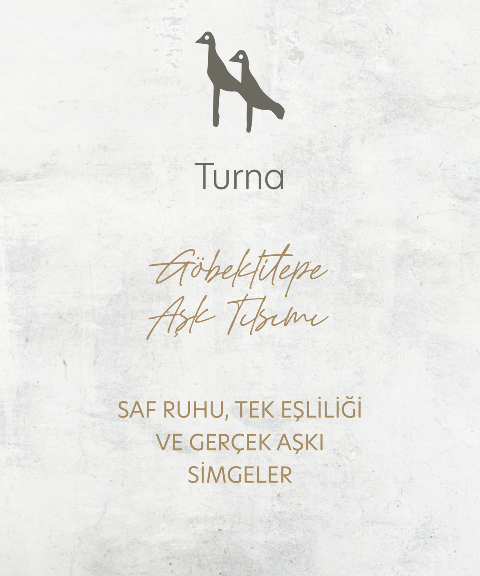 Lapis Turna Telkari Unisex Yüzük Silver resmi